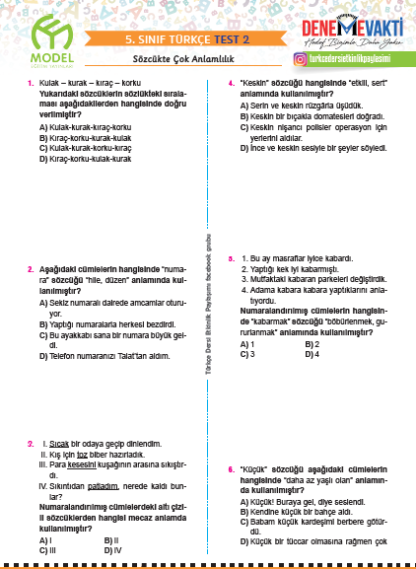 5 Sınıf Sözcükte Çok Anlamlılık Testi turkceci net